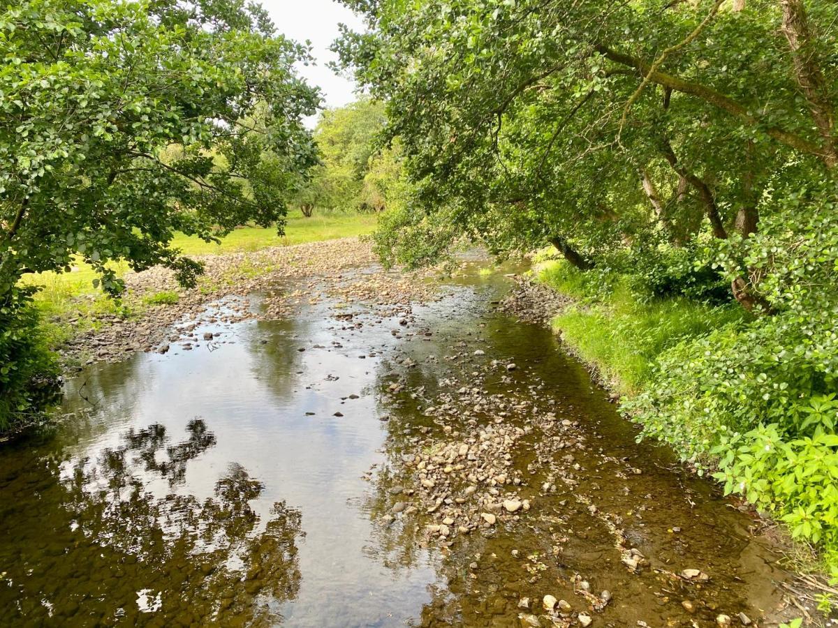 River View Glamping Hotel Llandovery Exterior foto