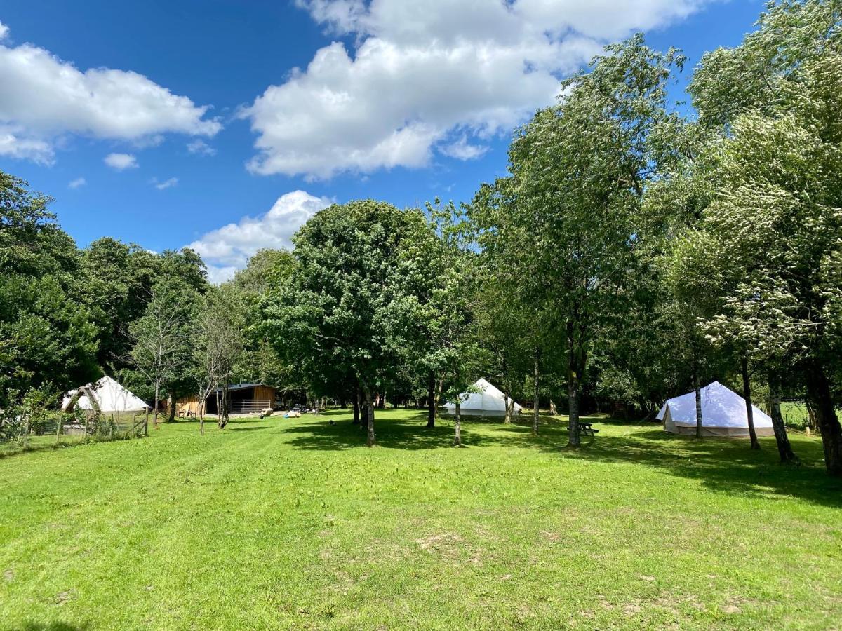 River View Glamping Hotel Llandovery Exterior foto